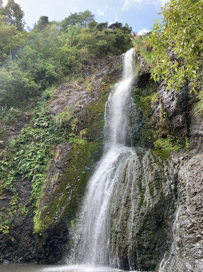 New Zealand Adventure