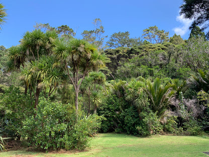 New Zealand Adventure