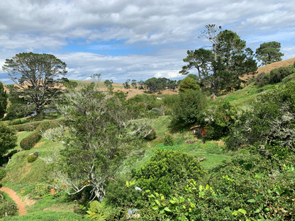 New Zealand Adventure