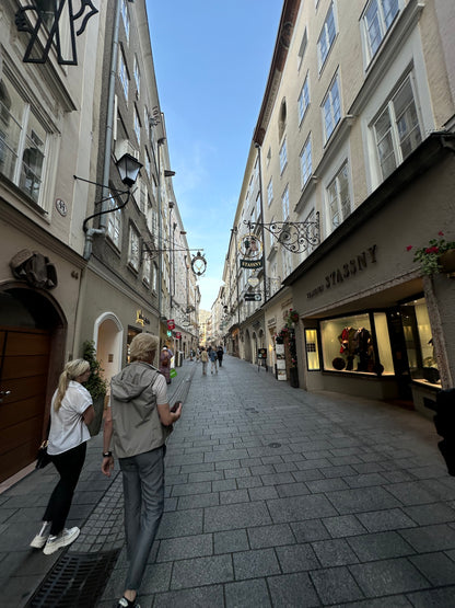 Austria - Sky Ladder