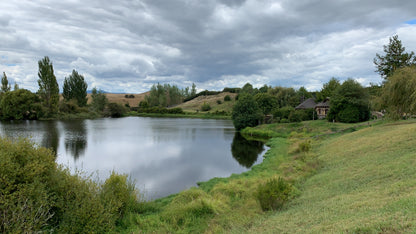 New Zealand Adventure