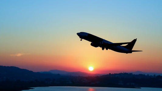 McCarran International Airport - Las Vegas, Nevada (LAS)