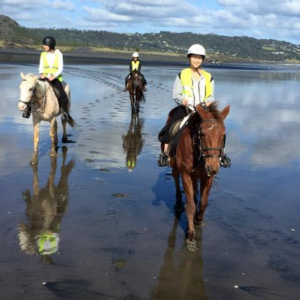 New Zealand - Muriwai Beach Horse Trek - ExistTravels