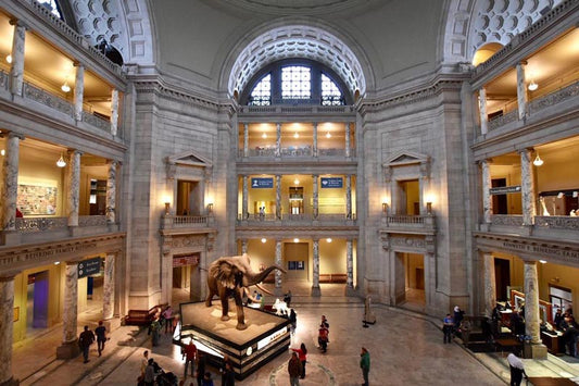 NYC - Museum of Natural History - ExistTravels